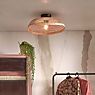 Good & Mojo Pantanal Ceiling Light brown application picture
