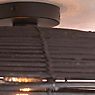 Good & Mojo Tanami, lámpara de techo negro - 55 x 14 cm