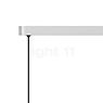 Grau Falling Leaf Hanglamp LED 2-lichts chroom/zwart - 600 cm