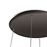 Grau Flying Pendant Light LED black