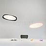 Grau Flying Pendant Light LED black application picture