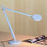 Grau John Table Lamp LED light blue application picture