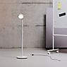 Grau Parrot Batterie lampadaire LED blanc - produit en situation