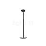 Grau Parrot Batterie lampadaire LED noir