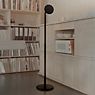 Grau Parrot Battery Floor Lamp LED black application picture