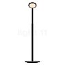 Grau Parrot Battery Floor Lamp LED black