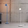 Grau Parrot Battery Floor Lamp LED light blue application picture