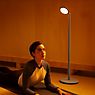 Grau Parrot Battery Floor Lamp LED light blue application picture