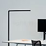 Grau Team Pro Floor Lamp LED black - 2,700 K - 4,000 K application picture