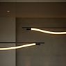 Graypants Levity Bow, lámpara de suspensión LED negro - 160 cm - ejemplo de uso previsto