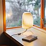 Graypants Scraplights Ebey Table Lamp blond application picture