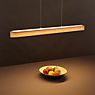 Helestra Bora Pendant LED in the 3D viewing mode for a closer look