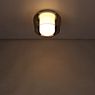 Helestra Canio Ceiling Light grey