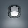 Helestra Canio Ceiling Light grey