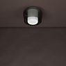 Helestra Canio Ceiling Light grey , Warehouse sale, as new, original packaging