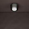 Helestra Canio Lampada da soffitto grigio