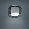 Helestra Canio Lampada da soffitto grigio