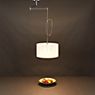 Helestra Certo Pendant Light in the 3D viewing mode for a closer look