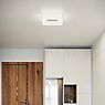 Helestra Cosi Ceiling Light LED nickel - 30 cm application picture