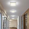 Helestra Cosi Lampada da soffitto LED cromo - 11 cm - immagine di applicazione