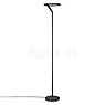 Helestra Elara Lampadaire LED noir