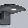 Helestra Lur Wandlamp LED grafiet