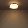 Helestra Olvi Lampada da soffitto LED ø23 cm