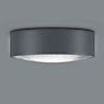 Helestra Posh Plafonnier LED graphite