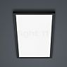 Helestra Rack Ceiling Light LED black matt - rectangular