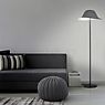 Helestra Rog Floor Lamp black/anthracite application picture