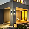 Helestra Swift Wall Light LED graphite application picture