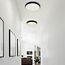 Helestra Tyra, lámpara de techo/pared LED negro/blanco - ejemplo de uso previsto