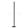 Helestra Venta Floor Lamp LED black matt