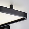 Helestra Vesp Plafondlamp LED zwart - 120 cm