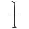 Hell Andy Floor Lamp LED 1 lamp bronze matt