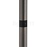 Hell Andy Floor Lamp LED 1 lamp bronze matt