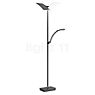 Hell Andy Floor Lamp LED 2 lamps bronze matt