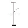 Hell Andy Floor Lamp LED 2 lamps bronze matt