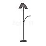 Hell Andy Floor Lamp LED 2 lamps bronze matt