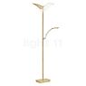 Hell Dual Floor Lamp LED champagne - with reading light