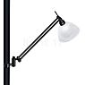Hell Findus Floor Lamp LED black - with reading light