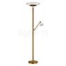 Hell Findus Floor Lamp LED brown - with reading light
