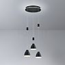Hell Leni, lámpara de suspensión LED 3 focos - Cluster negro - ejemplo de uso previsto