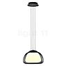 Hell Luxxo Pendant Light LED 1 lamp black - ø39 cm