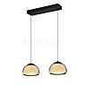 Hell Luxxo Pendant Light LED 2 lamps black