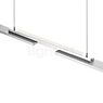 Hell More Pendelleuchte LED nickel matt - 130 cm