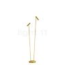 Hell Tom Lampadaire LED 2 foyers laiton - 140 cm