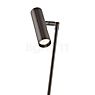 Hell Tom Pro Table Lamp LED bronze matt