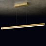 Holtkötter Xena Pendant Light LED brass matt - 160 cm