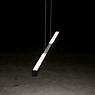Holtkötter Xena Pendelleuchte LED messing matt - 160 cm Anwendungsbild